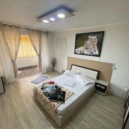 Apartment Darvys 加拉茨 外观 照片